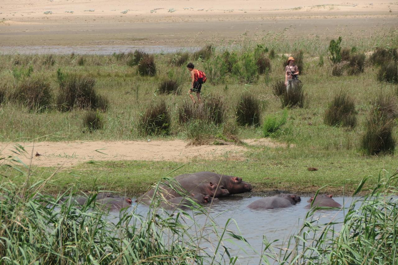 Lodge Afrique Saint Lucia Estuary Esterno foto