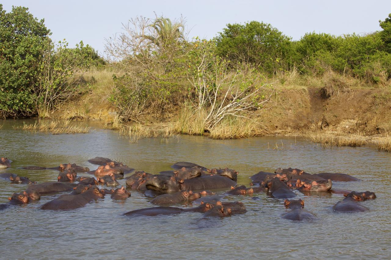 Lodge Afrique Saint Lucia Estuary Esterno foto